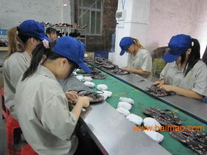 东莞安盈检品工厂 专业为出口日本市场提供100%检查服务、厂家直销与价格优势