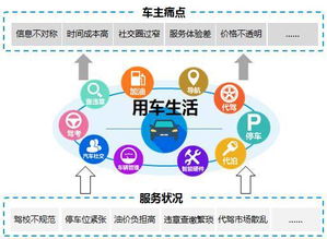 精读蓝皮书 2016年中国汽车工具类移动App专题研究——代驾服务崛起篇